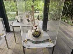 Singapore Botanic Gardens Svg+xml,%3Csvg%20xmlns%3D%22http%3A%2F%2Fwww.w3