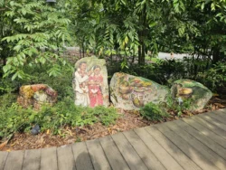 Singapore Botanic Gardens Svg+xml,%3Csvg%20xmlns%3D%22http%3A%2F%2Fwww.w3