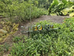 Singapore Botanic Gardens Svg+xml,%3Csvg%20xmlns%3D%22http%3A%2F%2Fwww.w3