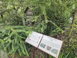 Singapore Botanic Gardens Svg+xml,%3Csvg%20xmlns%3D%22http%3A%2F%2Fwww.w3