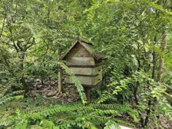 Singapore Botanic Gardens Svg+xml,%3Csvg%20xmlns%3D%22http%3A%2F%2Fwww.w3