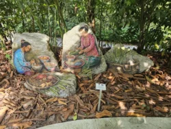 Singapore Botanic Gardens Svg+xml,%3Csvg%20xmlns%3D%22http%3A%2F%2Fwww.w3