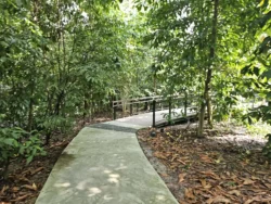 Singapore Botanic Gardens Svg+xml,%3Csvg%20xmlns%3D%22http%3A%2F%2Fwww.w3