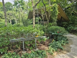 Singapore Botanic Gardens Svg+xml,%3Csvg%20xmlns%3D%22http%3A%2F%2Fwww.w3