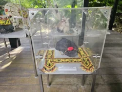 Singapore Botanic Gardens Svg+xml,%3Csvg%20xmlns%3D%22http%3A%2F%2Fwww.w3