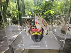 Singapore Botanic Gardens Svg+xml,%3Csvg%20xmlns%3D%22http%3A%2F%2Fwww.w3