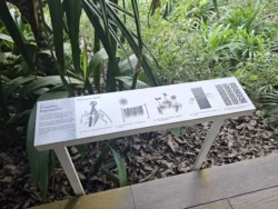 Singapore Botanic Gardens Svg+xml,%3Csvg%20xmlns%3D%22http%3A%2F%2Fwww.w3