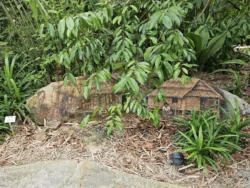 Singapore Botanic Gardens Svg+xml,%3Csvg%20xmlns%3D%22http%3A%2F%2Fwww.w3