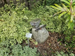 Singapore Botanic Gardens Svg+xml,%3Csvg%20xmlns%3D%22http%3A%2F%2Fwww.w3