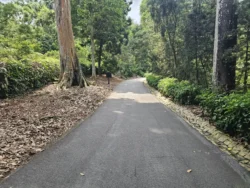 Singapore Botanic Gardens Svg+xml,%3Csvg%20xmlns%3D%22http%3A%2F%2Fwww.w3