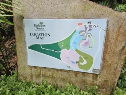 Singapore Botanic Gardens Svg+xml,%3Csvg%20xmlns%3D%22http%3A%2F%2Fwww.w3