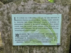 Singapore Botanic Gardens Svg+xml,%3Csvg%20xmlns%3D%22http%3A%2F%2Fwww.w3