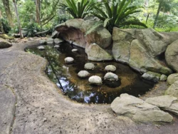 Singapore Botanic Gardens Svg+xml,%3Csvg%20xmlns%3D%22http%3A%2F%2Fwww.w3