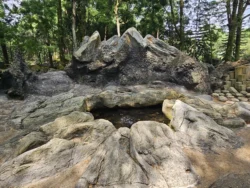 Singapore Botanic Gardens Svg+xml,%3Csvg%20xmlns%3D%22http%3A%2F%2Fwww.w3