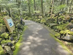 Singapore Botanic Gardens Svg+xml,%3Csvg%20xmlns%3D%22http%3A%2F%2Fwww.w3