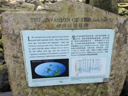 Singapore Botanic Gardens Svg+xml,%3Csvg%20xmlns%3D%22http%3A%2F%2Fwww.w3