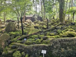 Singapore Botanic Gardens Svg+xml,%3Csvg%20xmlns%3D%22http%3A%2F%2Fwww.w3