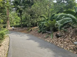 Singapore Botanic Gardens Svg+xml,%3Csvg%20xmlns%3D%22http%3A%2F%2Fwww.w3