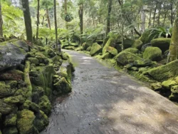 Singapore Botanic Gardens Svg+xml,%3Csvg%20xmlns%3D%22http%3A%2F%2Fwww.w3