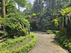 Singapore Botanic Gardens Svg+xml,%3Csvg%20xmlns%3D%22http%3A%2F%2Fwww.w3