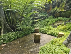 Singapore Botanic Gardens Svg+xml,%3Csvg%20xmlns%3D%22http%3A%2F%2Fwww.w3