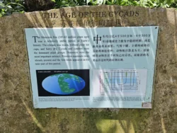 Singapore Botanic Gardens Svg+xml,%3Csvg%20xmlns%3D%22http%3A%2F%2Fwww.w3