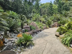 Singapore Botanic Gardens Svg+xml,%3Csvg%20xmlns%3D%22http%3A%2F%2Fwww.w3