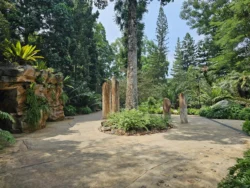 Singapore Botanic Gardens Svg+xml,%3Csvg%20xmlns%3D%22http%3A%2F%2Fwww.w3