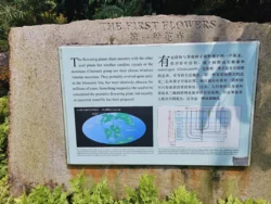 Singapore Botanic Gardens Svg+xml,%3Csvg%20xmlns%3D%22http%3A%2F%2Fwww.w3