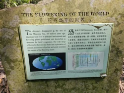 Singapore Botanic Gardens Svg+xml,%3Csvg%20xmlns%3D%22http%3A%2F%2Fwww.w3