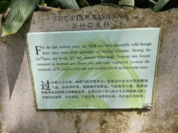 Singapore Botanic Gardens Svg+xml,%3Csvg%20xmlns%3D%22http%3A%2F%2Fwww.w3