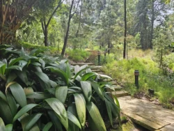 Singapore Botanic Gardens Svg+xml,%3Csvg%20xmlns%3D%22http%3A%2F%2Fwww.w3