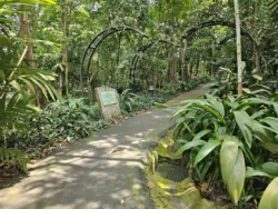 Singapore Botanic Gardens Svg+xml,%3Csvg%20xmlns%3D%22http%3A%2F%2Fwww.w3