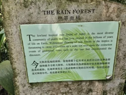 Singapore Botanic Gardens Svg+xml,%3Csvg%20xmlns%3D%22http%3A%2F%2Fwww.w3