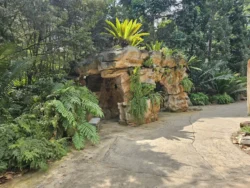 Singapore Botanic Gardens Svg+xml,%3Csvg%20xmlns%3D%22http%3A%2F%2Fwww.w3