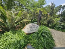 Singapore Botanic Gardens Svg+xml,%3Csvg%20xmlns%3D%22http%3A%2F%2Fwww.w3