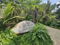 Singapore Botanic Gardens Svg+xml,%3Csvg%20xmlns%3D%22http%3A%2F%2Fwww.w3