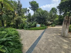 Singapore Botanic Gardens Svg+xml,%3Csvg%20xmlns%3D%22http%3A%2F%2Fwww.w3