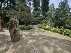 Singapore Botanic Gardens Svg+xml,%3Csvg%20xmlns%3D%22http%3A%2F%2Fwww.w3