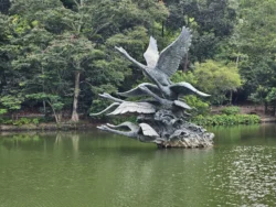 Singapore Botanic Gardens Svg+xml,%3Csvg%20xmlns%3D%22http%3A%2F%2Fwww.w3