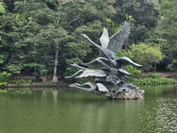 Singapore Botanic Gardens Svg+xml,%3Csvg%20xmlns%3D%22http%3A%2F%2Fwww.w3