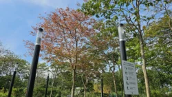 Lower Seletar Reservoir (Rower's Bay) Svg+xml,%3Csvg%20xmlns%3D%22http%3A%2F%2Fwww.w3