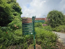 Singapore Botanic Gardens Svg+xml,%3Csvg%20xmlns%3D%22http%3A%2F%2Fwww.w3