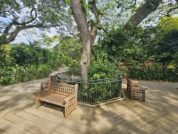 Singapore Botanic Gardens Svg+xml,%3Csvg%20xmlns%3D%22http%3A%2F%2Fwww.w3