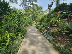 Singapore Botanic Gardens Svg+xml,%3Csvg%20xmlns%3D%22http%3A%2F%2Fwww.w3