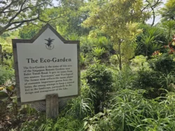 Singapore Botanic Gardens Svg+xml,%3Csvg%20xmlns%3D%22http%3A%2F%2Fwww.w3