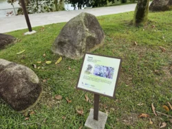 Marsiling Park Svg+xml,%3Csvg%20xmlns%3D%22http%3A%2F%2Fwww.w3