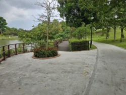 Marsiling Park Svg+xml,%3Csvg%20xmlns%3D%22http%3A%2F%2Fwww.w3