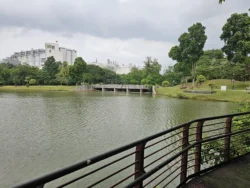 Marsiling Park Svg+xml,%3Csvg%20xmlns%3D%22http%3A%2F%2Fwww.w3