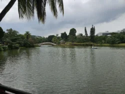 Marsiling Park Svg+xml,%3Csvg%20xmlns%3D%22http%3A%2F%2Fwww.w3